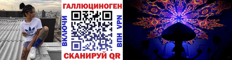 Псилоцибиновые грибы Psilocybe  купить закладку  hydra маркетплейс  Поронайск 